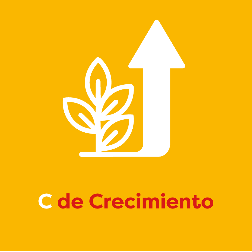 crecimiento